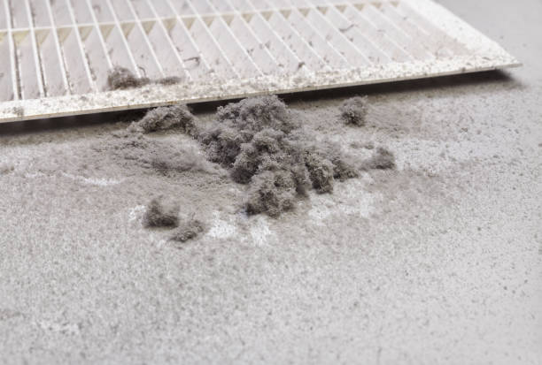 Best HVAC Air Duct Cleaning  in Hannibal, MO