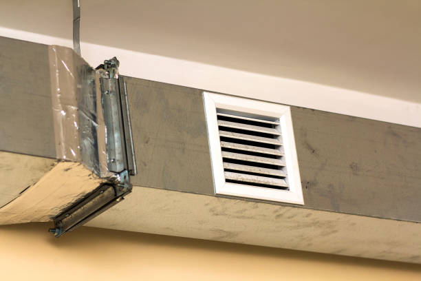 Best Dryer Vent Cleaning Services  in Hannibal, MO